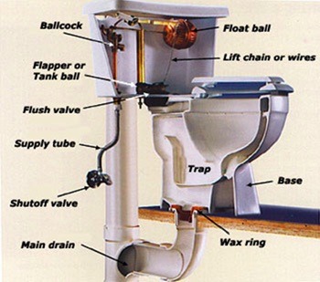 toilet drain repair