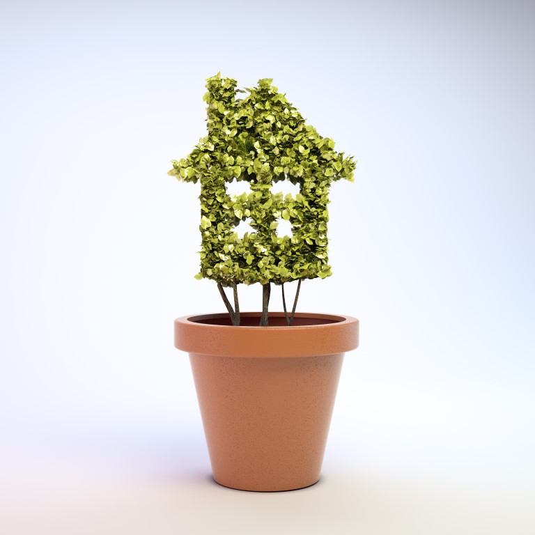 Eco-Friendly Home