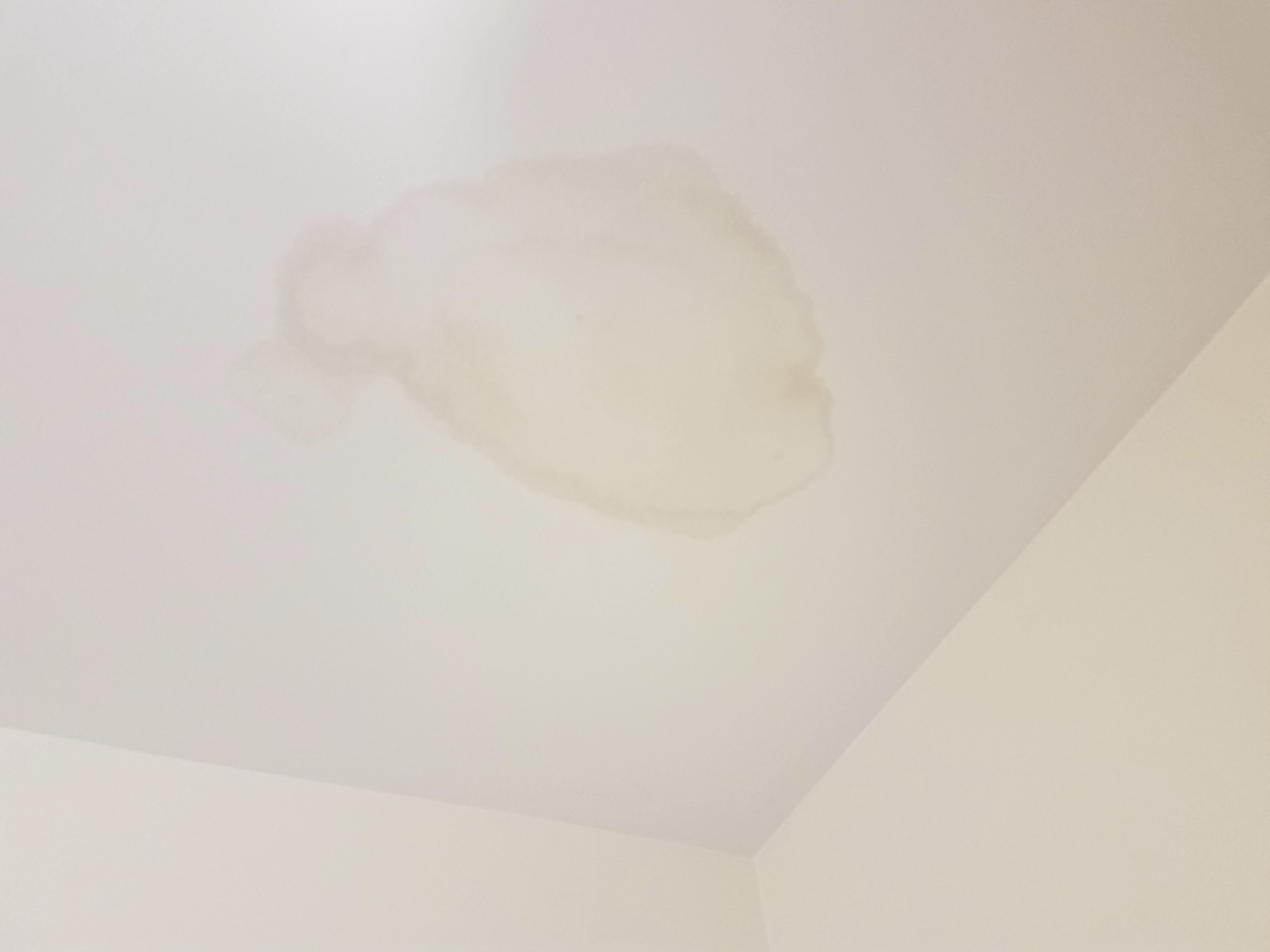 Water Stains On The Ceiling John The Plumber Mississauga On