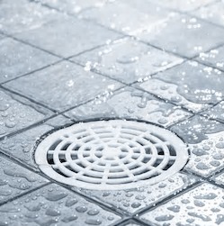 Shower Drain Clog