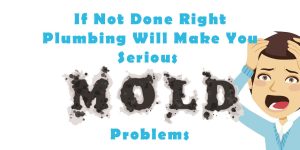 If Not Done Right Plumbing Will Make You Serious Mold Problems