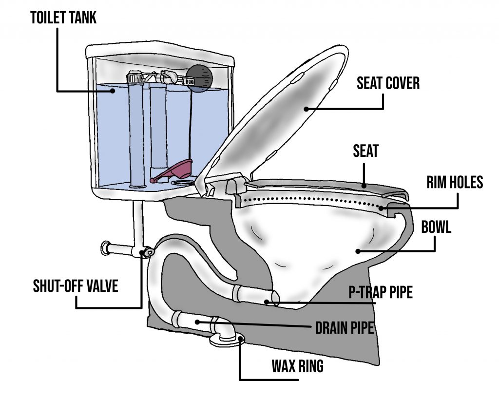 What Happens to Sewage? The Process After You Flush