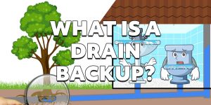 Define: Drain Backup What is a Drain Backup?