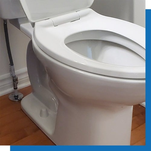 drain backup toilet drain backup toilet