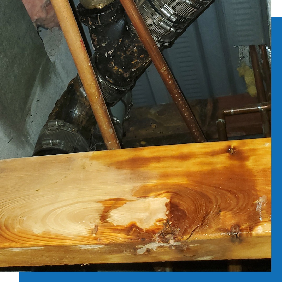 Leak Detection and Repair ottawa west