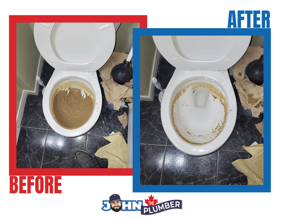 Clogged toilet repair in Vaughan
