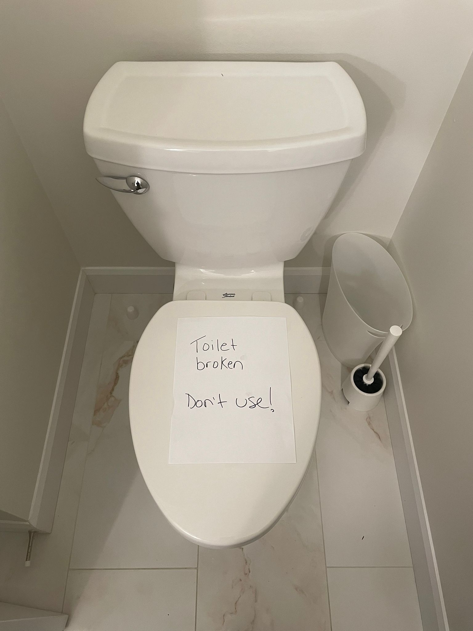 Toilet leak