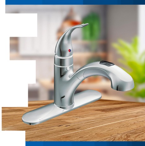 Moen (Pull-out spout kitchen faucet)