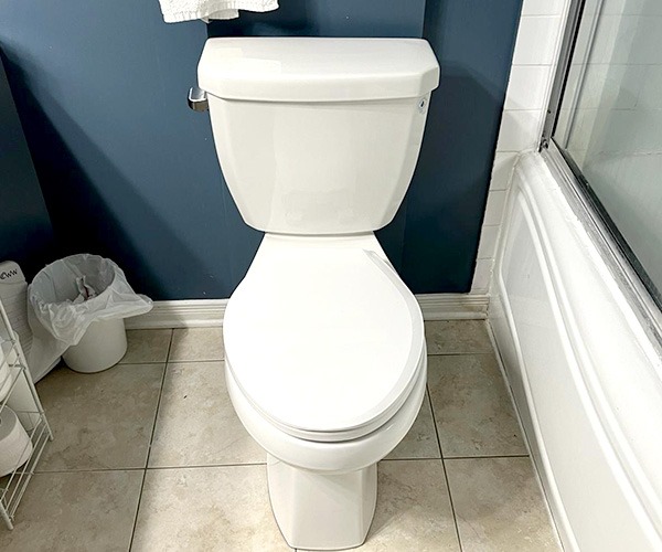 Toilet Installation services