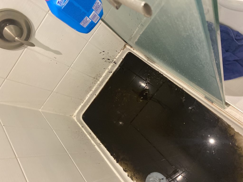 Drain Backup Service in Downtown Toronto