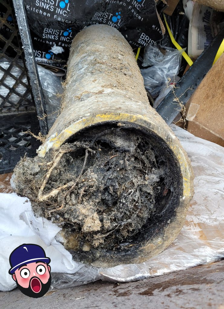 clogged sewer line guelph