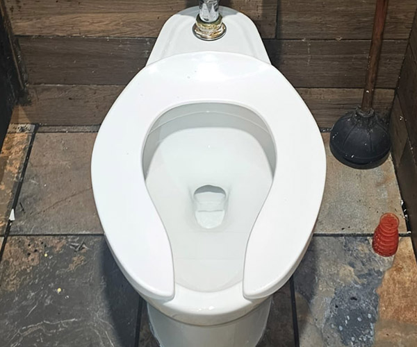 when to call a professional for toilet repair in toronto