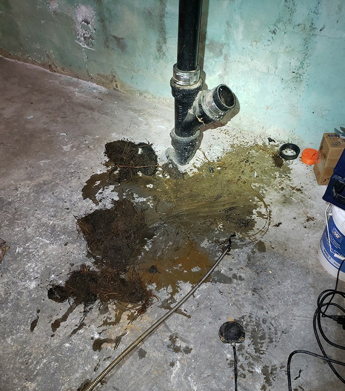 Sewer & Main Drain Problems in ottawa