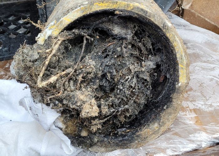 Blocked sewer services in Hamilton