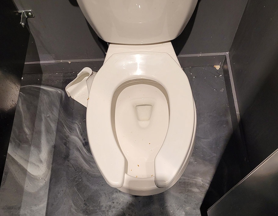 Blocked toilet service in Kingston