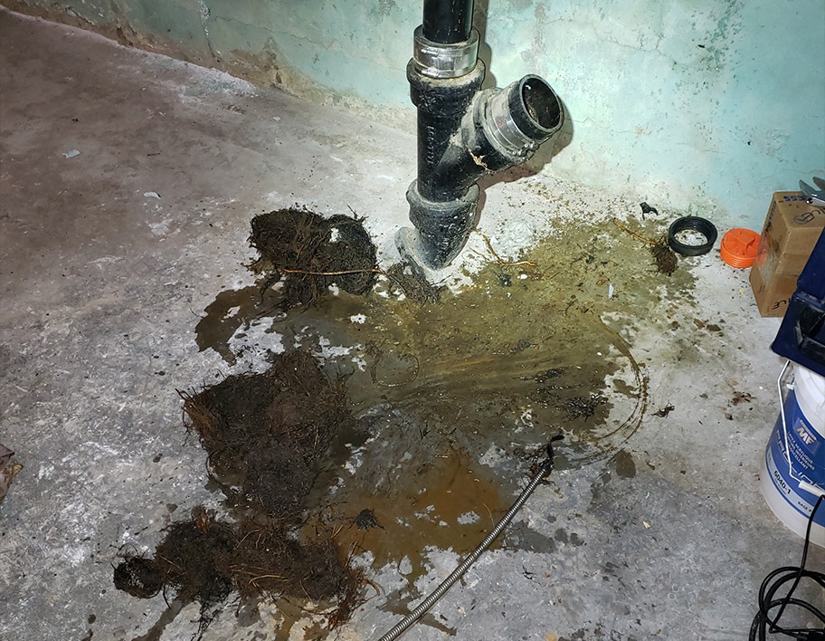 Sewer and floor drain cleaning in Kingston