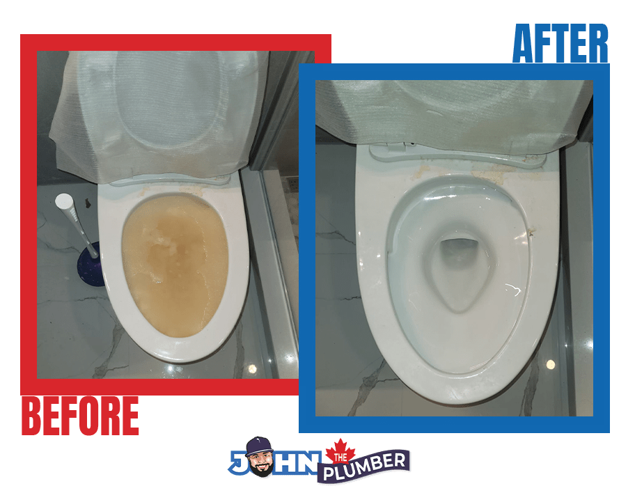 Clogged toilet drain cleaning service in Hamilton