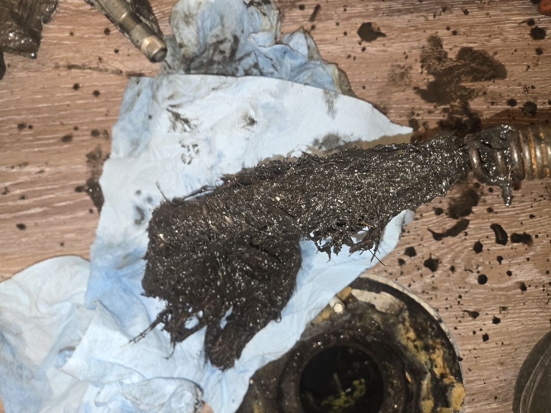 Tree roots removed from a blocked drain or sewer line