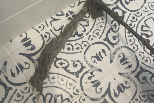 Book a Drain Backup Service in Markham, ON, Today