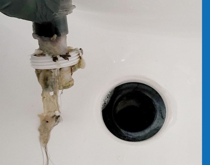 Clogged Drain Plumbing Service In Etobicoke