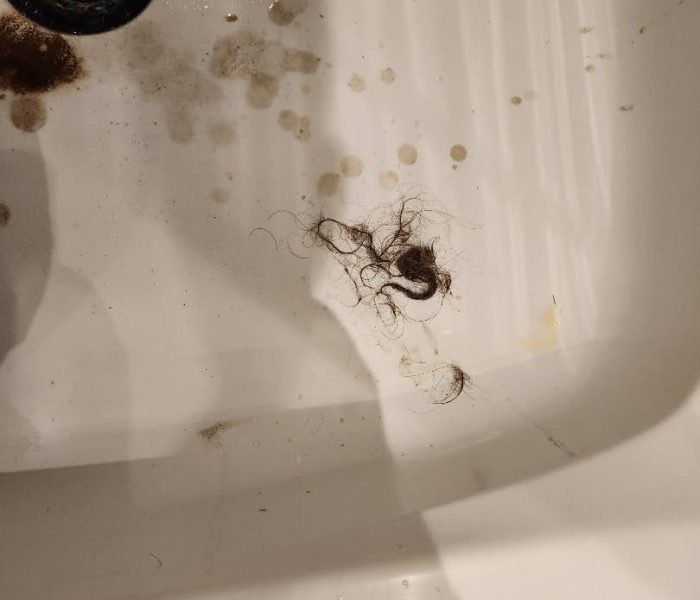 Clogged Shower Drain Scarborough