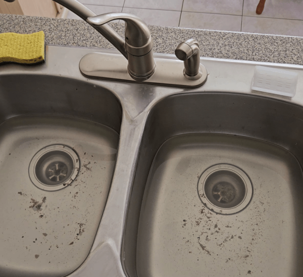 Common Causes of a Clogged Kitchen Sink