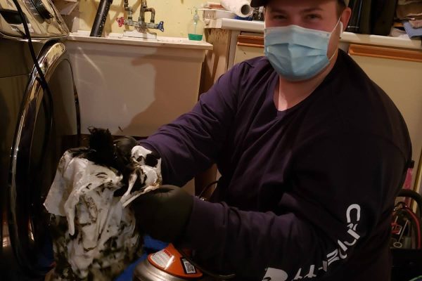 Our Clogged Laundry Room Sink Services in Scarborough