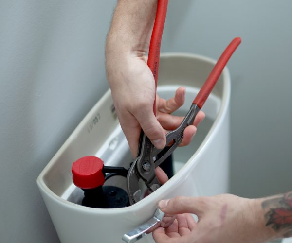 Toilet Installations