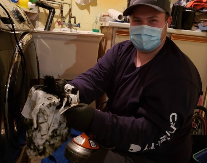 Why Laundry Room Sinks Clog in Toronto Homes