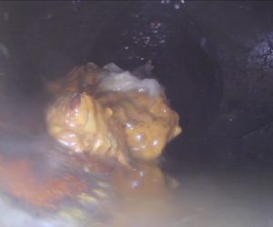 camera drain inspection guelph