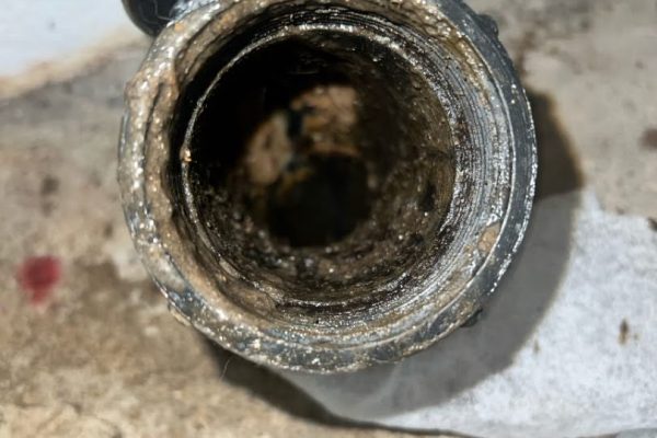 clogged main drain guelph