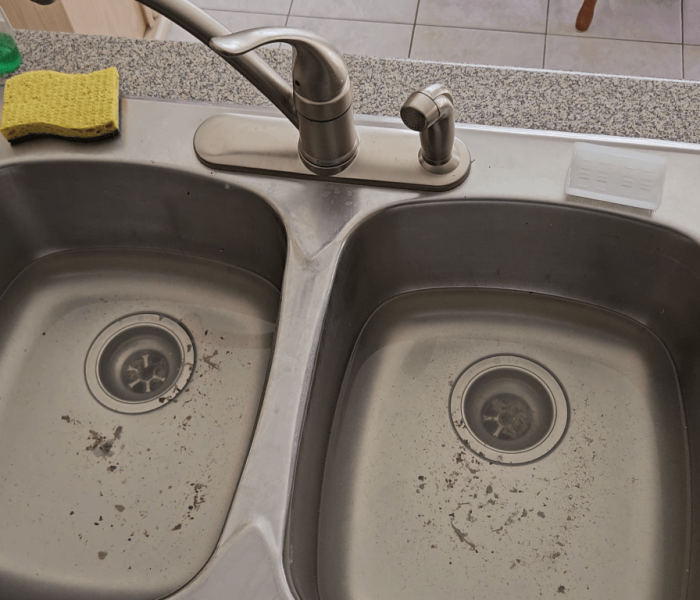 clogged sink scarborough