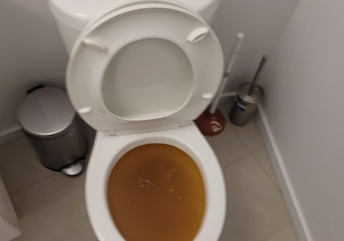 clogged toilet north york