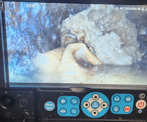 drain clog camera inspection