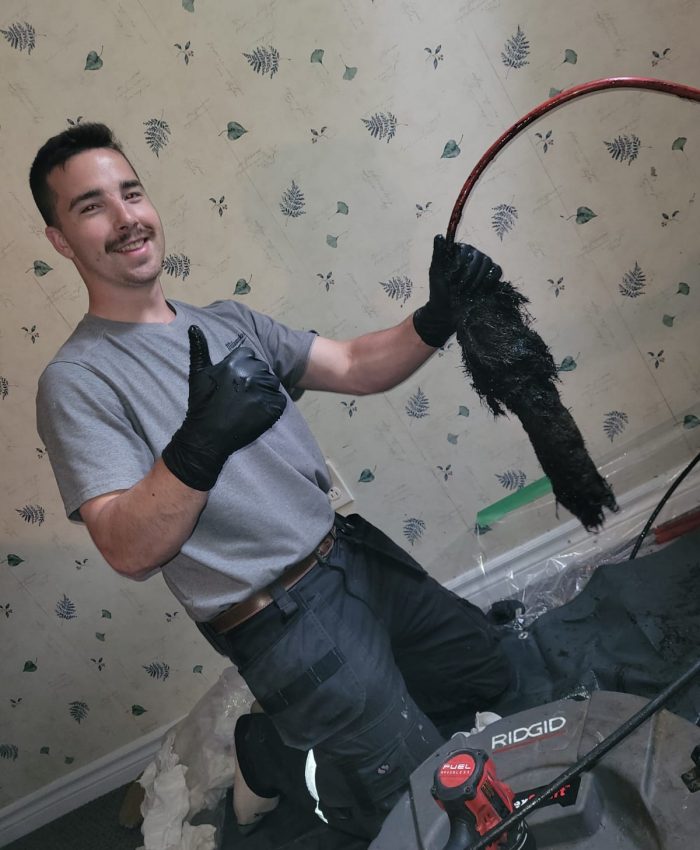 Tree Root Removal